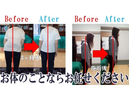 プロビス整体研究会の写真
