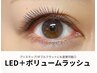 LED+ボリュームラッシュ【120束】(ブリスラップ.ダブルフラットに変更可)