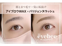 アイビー(eyebee)/アイブロウ × まつ毛パーマ
