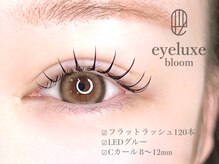 アイリュクス ブルーム(eyeluxe bloom)/フラットラッシュ