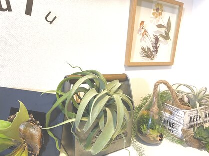 アイラッシュウル 金沢八景(eyelash uLu)の写真