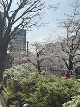 ハラ(Hara)&nbsp;あんあん 