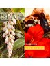 ～spa【沖縄の癒し】body＋facia＋foot＋head　150分　30,000円→16,500