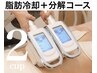 脂肪冷却2CUP×脂肪分解溶液導入×高出力キャビ×血流循環全身ケア
