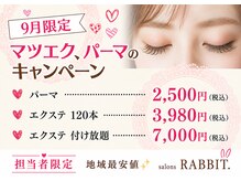 サロンズ ラビット(salonsRABBIT.)