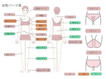 ベル(Belle)/【パーツ表】女性〈身体〉