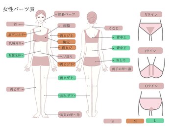 ベル(Belle)/【パーツ表】女性〈身体〉