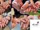 ニコネイル(niko nail)の写真