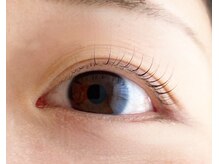 シマー(shimmer)/パリジェンヌラッシュリフト！