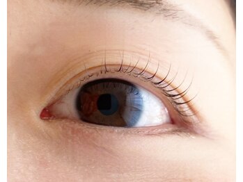 シマー(shimmer)/パリジェンヌラッシュリフト!