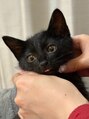 チェリッシュ 博多(CHERISH)&nbsp;黒猫くんと一緒に暮らしてます！