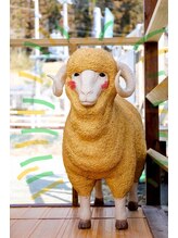カフネ1329/お出迎えの羊さん