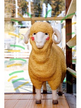 カフネ1329/お出迎えの羊さん