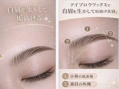 モルレーヴ(MOLREVE)の写真