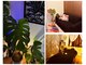 リーラ(Leela)の写真