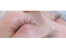 ラ スリーズ(La Cerise)/カラーラッシュ120本