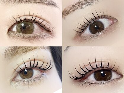 アメリ(Ameri)の写真