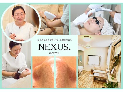 ネクサス(NEXUS)の写真