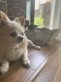 アンドボディ 中目黒(& Body) ワンちゃんを飼っています(*´ω`*)モフモフは癒しですよね(^^)