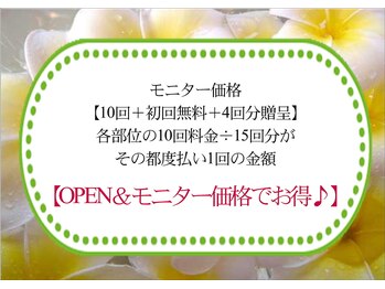 アウローラ/OPEN限定モニター料金とてもお得