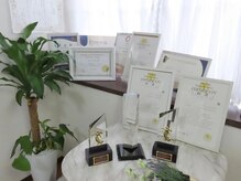 カリアンヌの雰囲気（AEA/シデスコインターナショナル/全国大会銀２個銅２個論文賞）