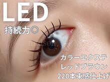 メゾンドエム(maison de M)