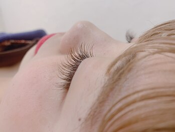 ロコ(Loco by neolive)/ブラウンMIX*100本