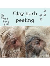 スリジエ ボーテ(cerisierBEAUTE)/わんちゃんの皮膚にも対応◎