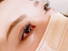 ループ(LOOP)/フラットラッシュ120本