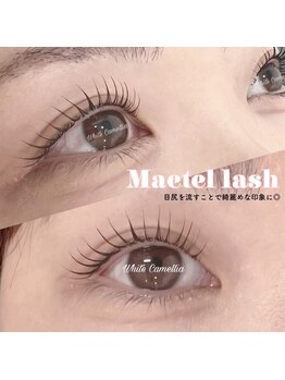 ホワイトカメリア 上本町店(White Camellia)/マツエクサロン/まつげパーマ