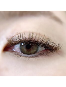 ロイス(ROIS)/◇カラーボリューム140束