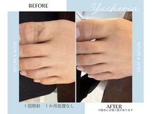 ユシェリア(Yucheria)/