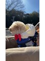 ロココ 岐阜店(Rococo)&nbsp;わんちゃんがとても大好きで、愛犬にいつも癒されています♪