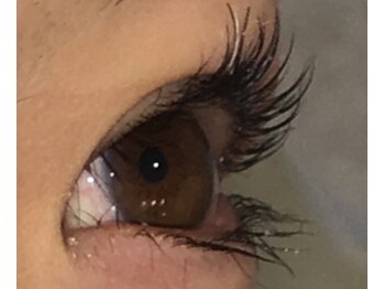 クインビー(Queen Bee)/【まつげパーマ】3500円