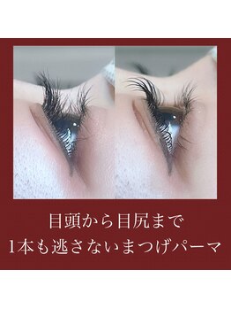 アレグリア(Alegria)/ラッシュリフトカール