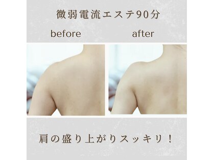 レポリア(Reporia)の写真