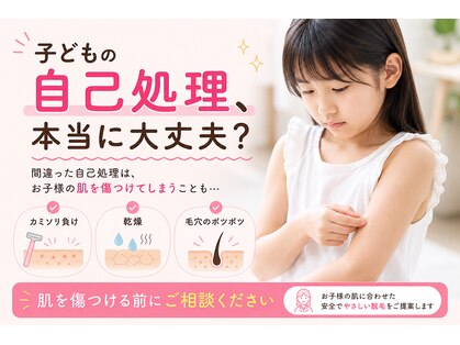 ヒカリ(Hikari)の写真