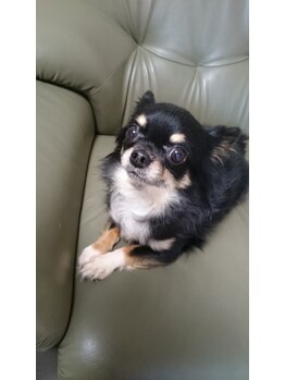 エステクィーン 淵野辺店/