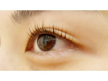 クレー(Klee)/パリジェンヌラッシュリフト