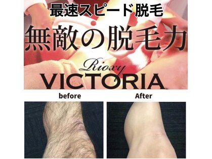サイエス(SAIs)の写真