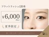 【8/16～8/26限定】フラットラッシュ120本　オフ込み　￥6,000