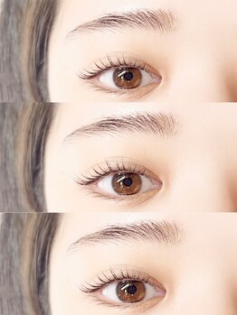 リシェル(Risheru)の写真/何をすればいいかわからない方はこちらから☆【まつ毛パーマ＋アイブロウスタイリングSET¥5,500】