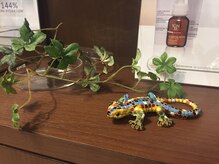 ラポーリア 白金台/