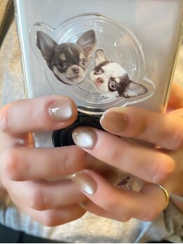 ワンカラーマグネット