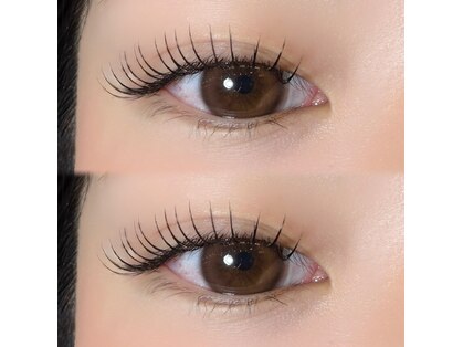 ガーランド ルピナス(garland lupinus)の写真