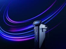 スターチス(Statice)