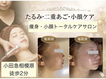 ニコ(NIKO)の写真