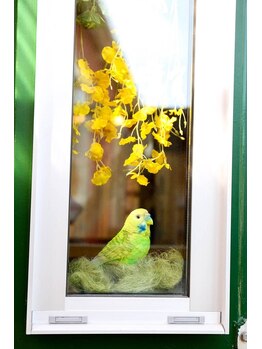 カフネ1329/インコ たそがれてる