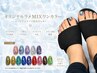 ＜ご新規様オフ無料＞オリジナルラメMIX8,800円