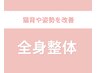 【2回目来店】全身トタールケア美容姿勢矯正(猫背+骨盤)通常¥13200